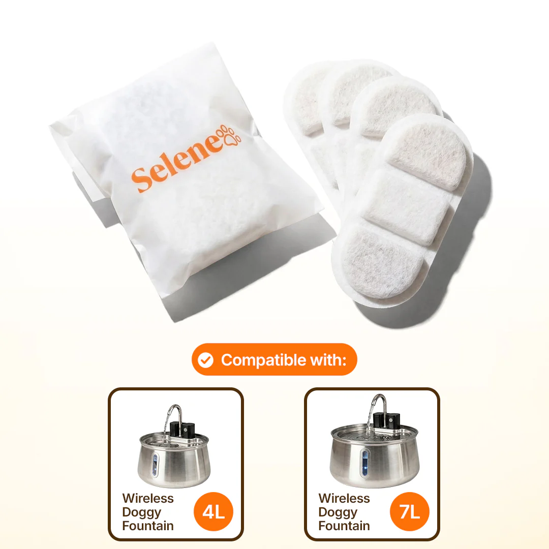 Filters & Accessories